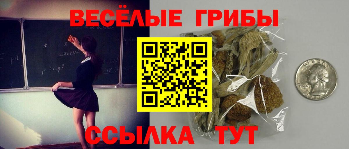 Галлюциногенные грибы Psilocybe  Галлюциногенные грибы Cubensis  Вход с VPN  Гулькевичи 