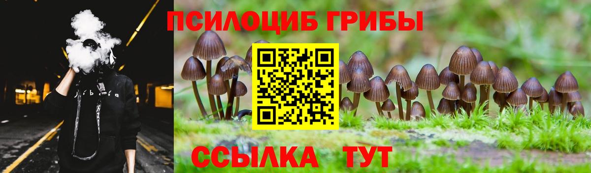 Псилоцибиновые грибы Psilocybine cubensis Гулькевичи